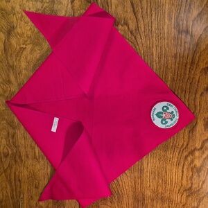 VINTAGE Welsh Scouting Jamboree CYMRU Margam 1985 Badge and Red Neckerchief